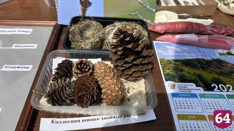 В Саратове экологам вручили награды и почетные грамоты 